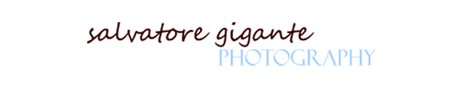 Salvatore Gigante Photography New Jersey NJ newborn photographer, NJ child photographer, NJ baby photographer, Bergen County baby Photographer, Hoboken NJ photographer logo
